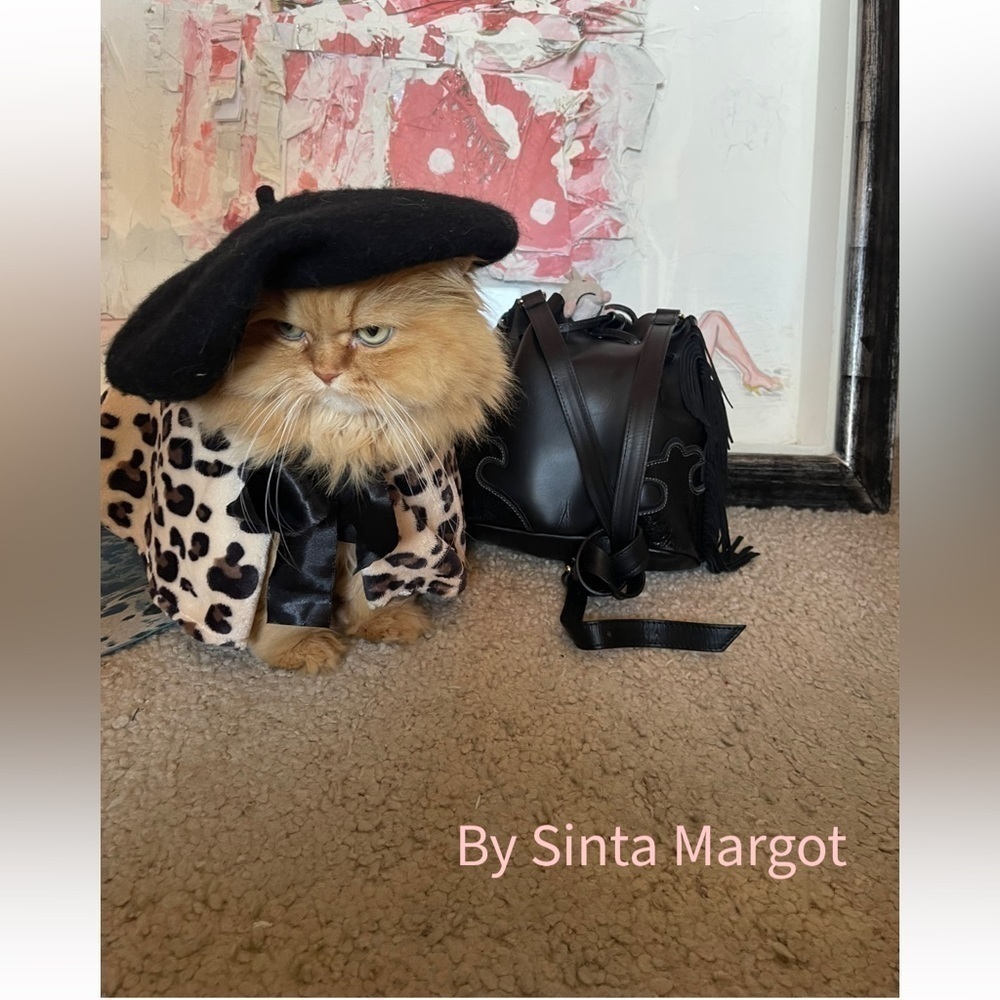 Photography as a print of my fur baby Dior modeling for me and a Facebook star
